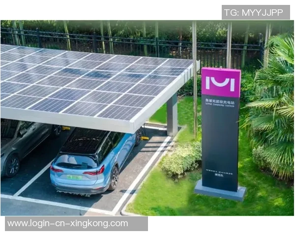 张江中学足球场周边环境与设施提升计划探讨与展望